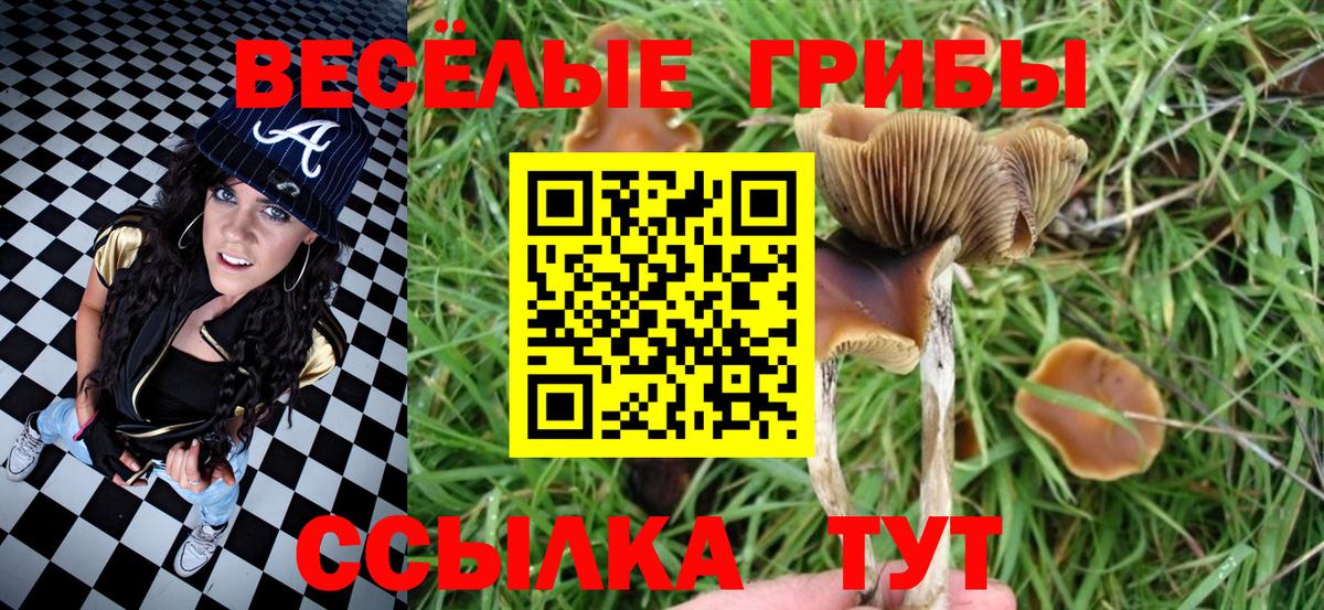 Марихуана Кызыл