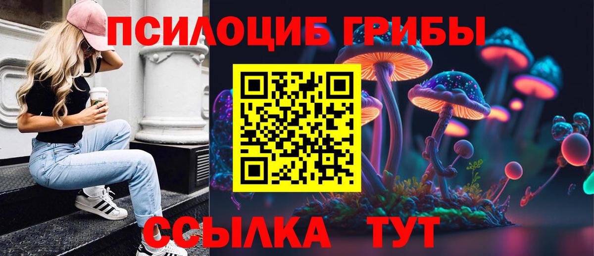 Псилоцибиновые грибы Magic Shrooms Кызыл
