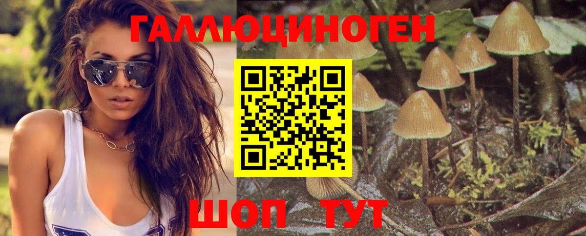 Псилоцибиновые грибы Psilocybine cubensis  где найти наркотики  Кызыл  Вход с VPN  Галлюциногенные грибы MAGIC MUSHROOMS 