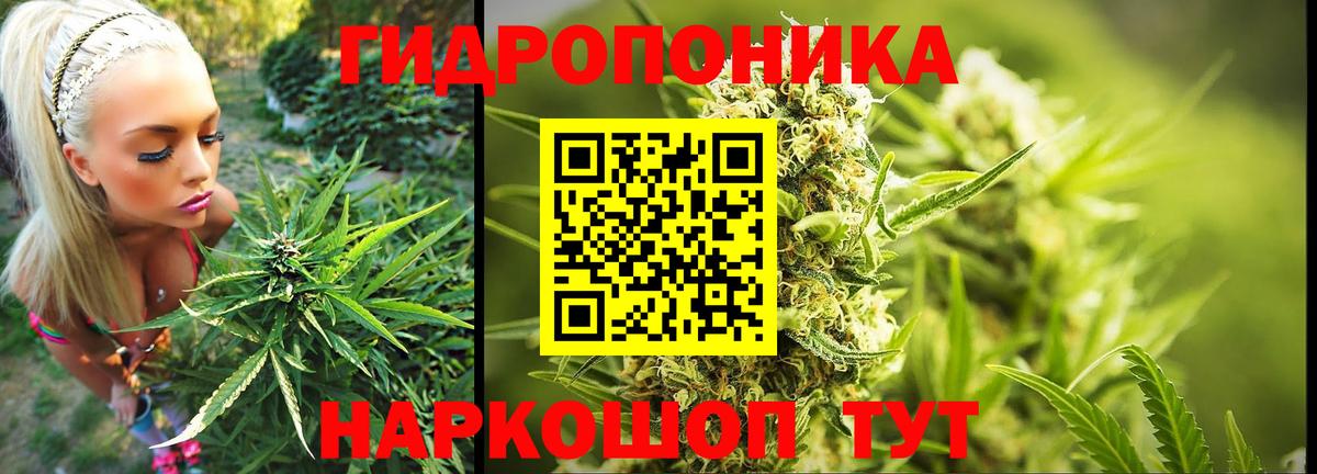 Канабис OG Kush  МАРИХУАНА план  Марихуана AK-47  Канабис индика  Вход с VPN  Кызыл 
